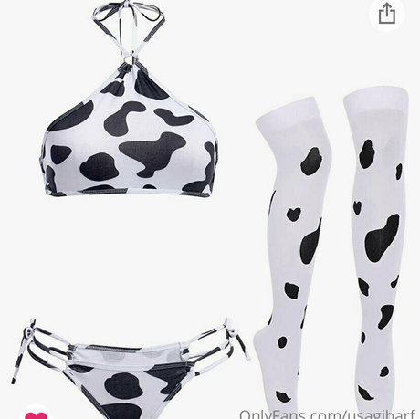 usagibarf star porn archive