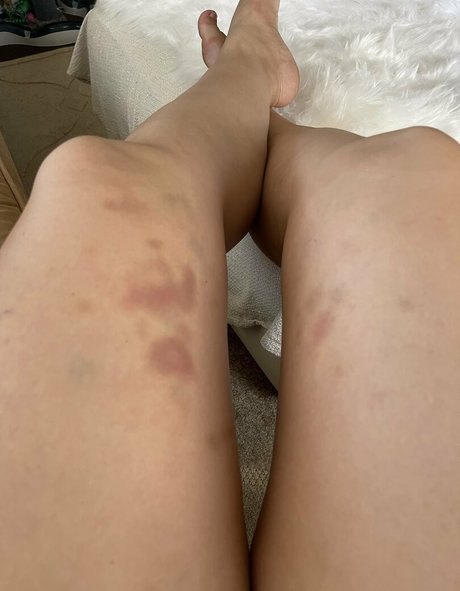 luluwunderful best star image