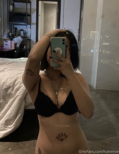 hukiehoe model art pictures