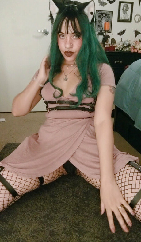 otterbee hd star picture