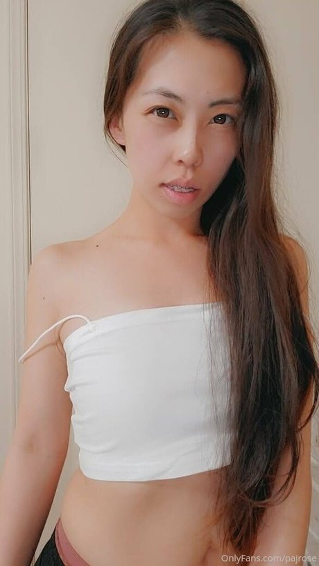 pajrose star xxx archive