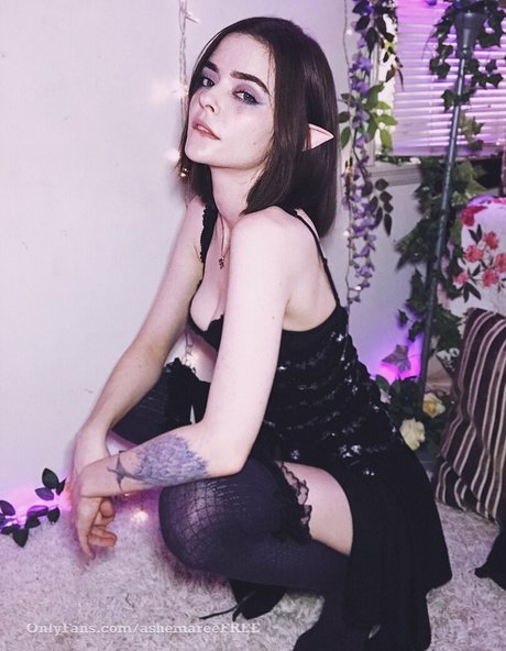 ashemareefree star exclusive archive