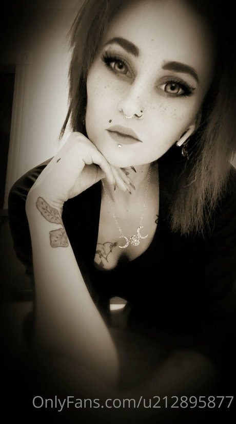 your fantasy527ca Profile pic