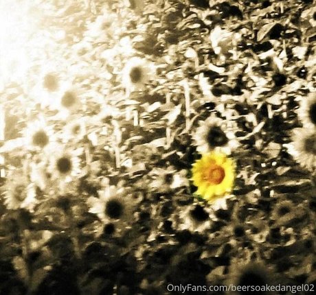 beersoakedangel02 pornstar beautiful photo