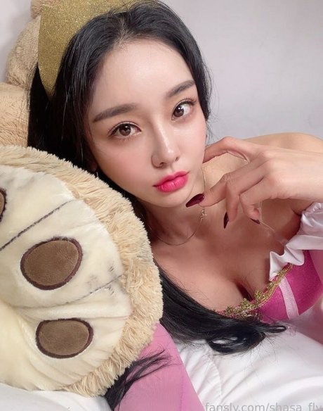 Shasa fly model hot photo