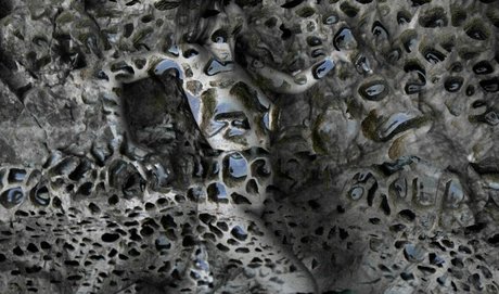 Rae Johnston high quality pornstar photo