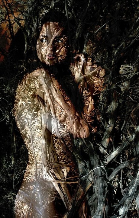 Rae Johnston Profile pic