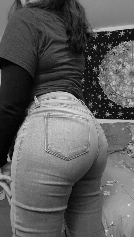 butterflylovebug model top picture