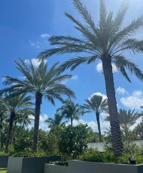 Leslie Sanchez model best pics