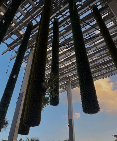 Leslie Sanchez Profile pic