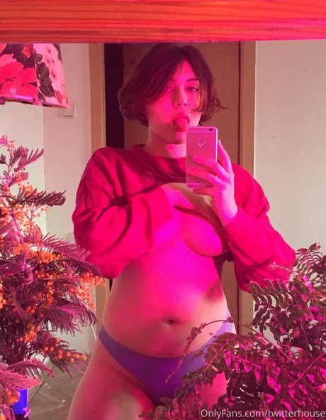 twitterhouse pornstar art archive