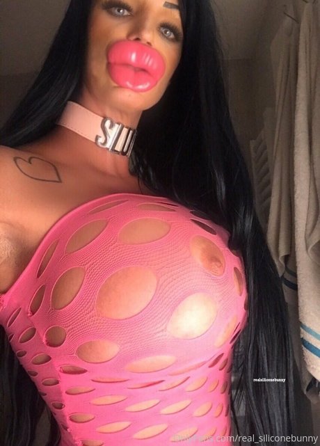 real siliconebunny pornstar art photos