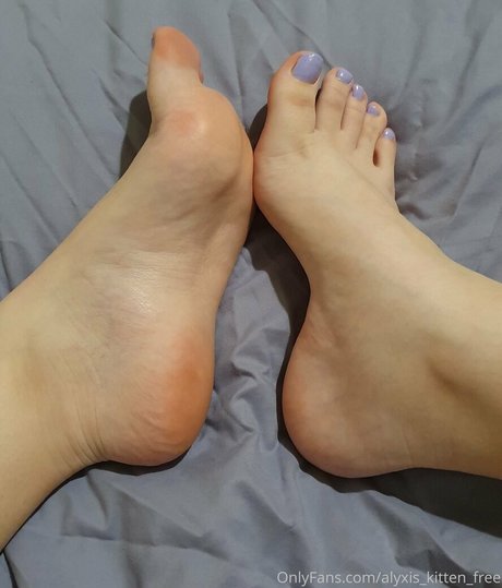 alyxis kitten free star hd photos