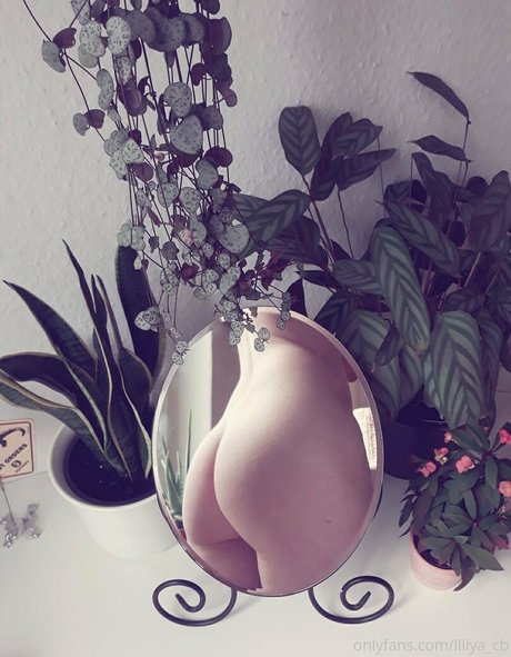 lillya cb pornstar img