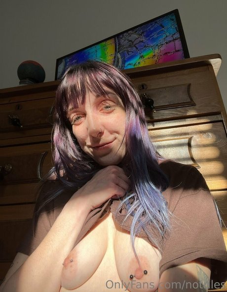 notriles star top photos