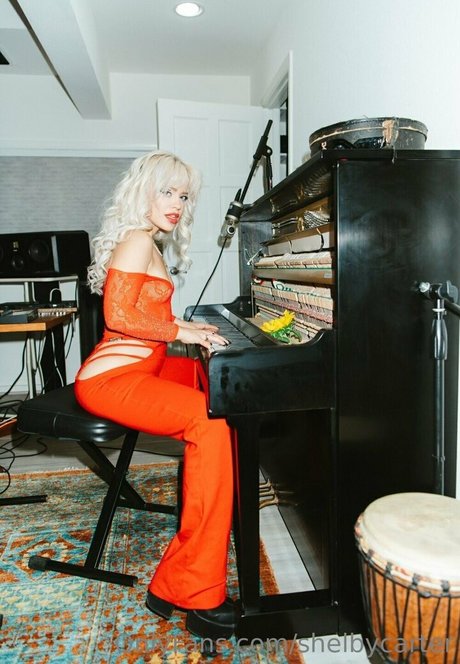 shelbycarter star art pics