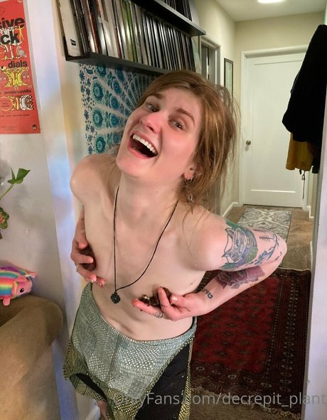 Decrepit plant star best photos