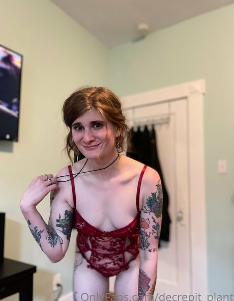 Decrepit plant model beautiful gallery