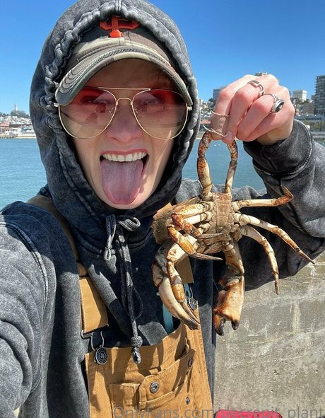 Decrepit plant star best photo