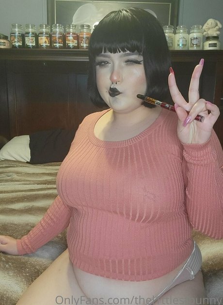 thel1ttlestbunny nice star photos