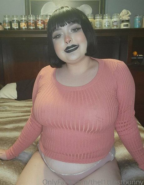 thel1ttlestbunny star free image