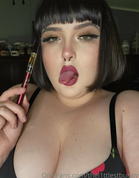 thel1ttlestbunny star picture