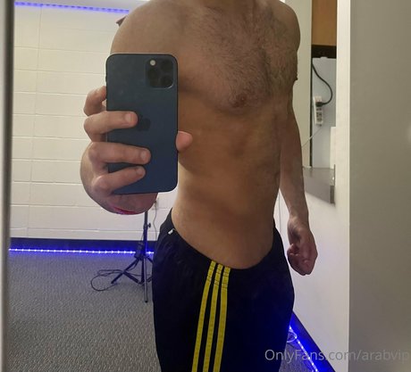 arabvip perfect star archive