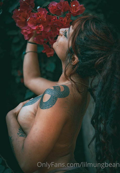 lilmungbean pornstar high quality img