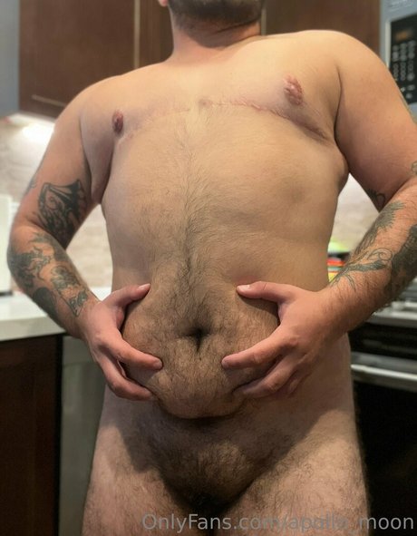 apollo moon star free pictures