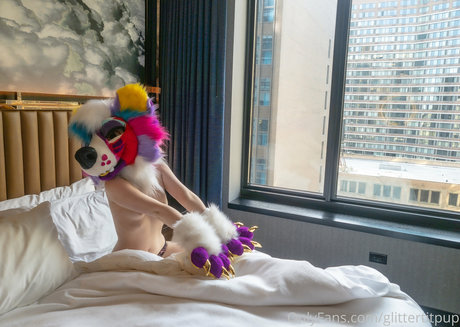 glittertitpup hd star gallery