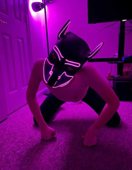 pup haze pornstar nudes photo