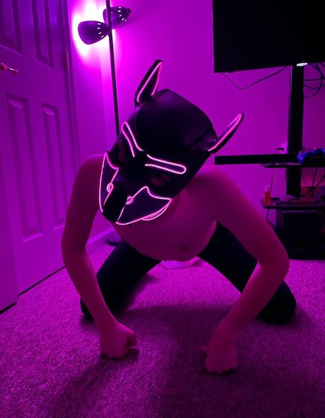 pup haze model art pictures