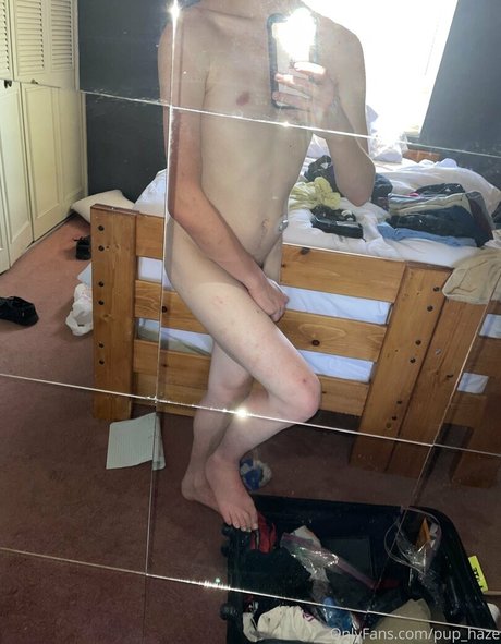 pup haze star exclusive gallery