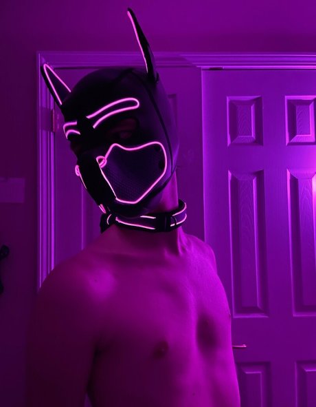 pup haze hot star photos