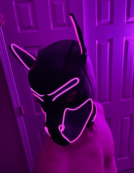 pup haze star pretty pic