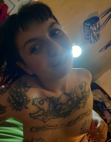 gatitajavilun art star gallery