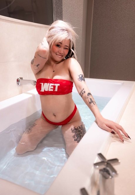 Liquid Pyro top model galleries