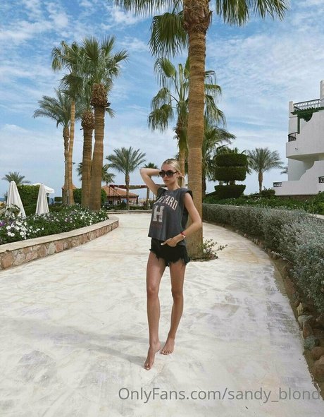 sandy mallrose sex star archive