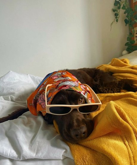 Helayna Birkett art model pictures