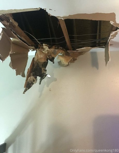 aj180 art model picture