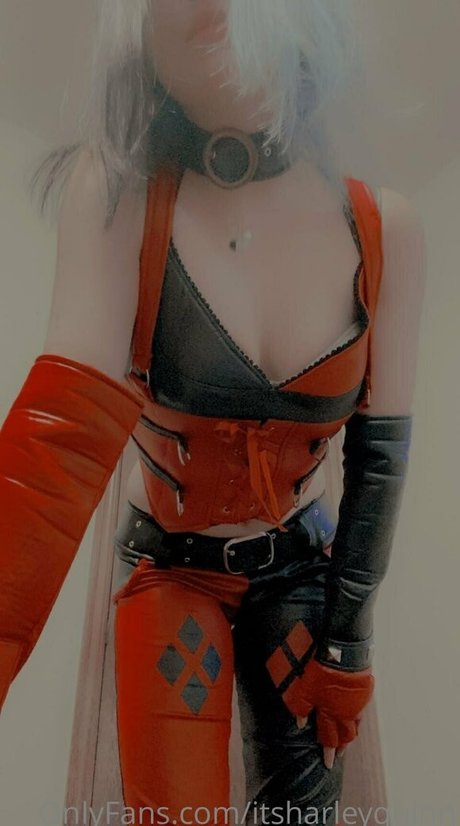 itsharleyquinn exclusive star picture