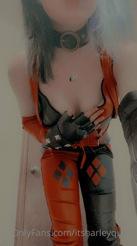 itsharleyquinn star perfect pic