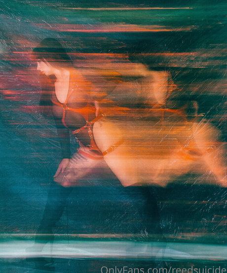 Reedsuicide model perfect archive