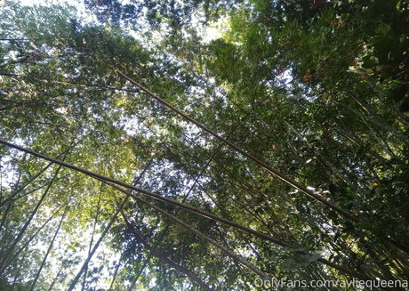 avliequeena hd model pics