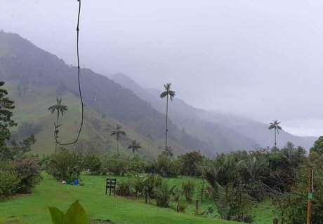 avliequeena model best pictures