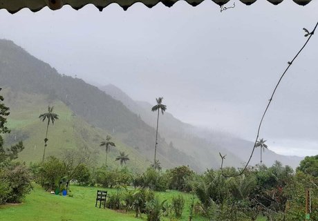 avliequeena art star images