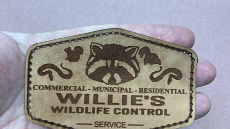 ricksangelsfree porn model images