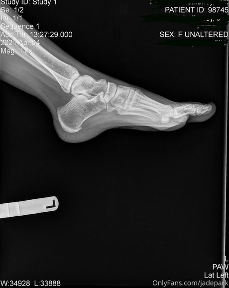 blowjob asian onlyfans art nude pictures