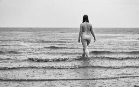 Cinnoman star top photo