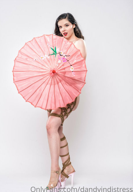 dandyindistress star sexy image